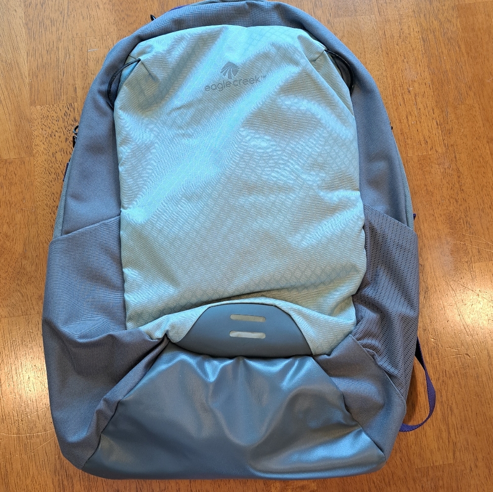 Eagle Creek Wayfinder 20L Backpack